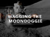 wagging_moondoggie