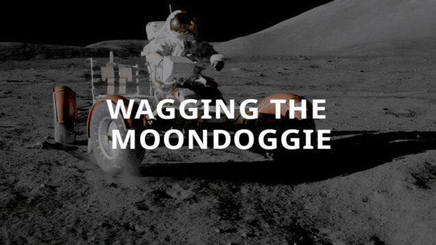 wagging_moondoggie